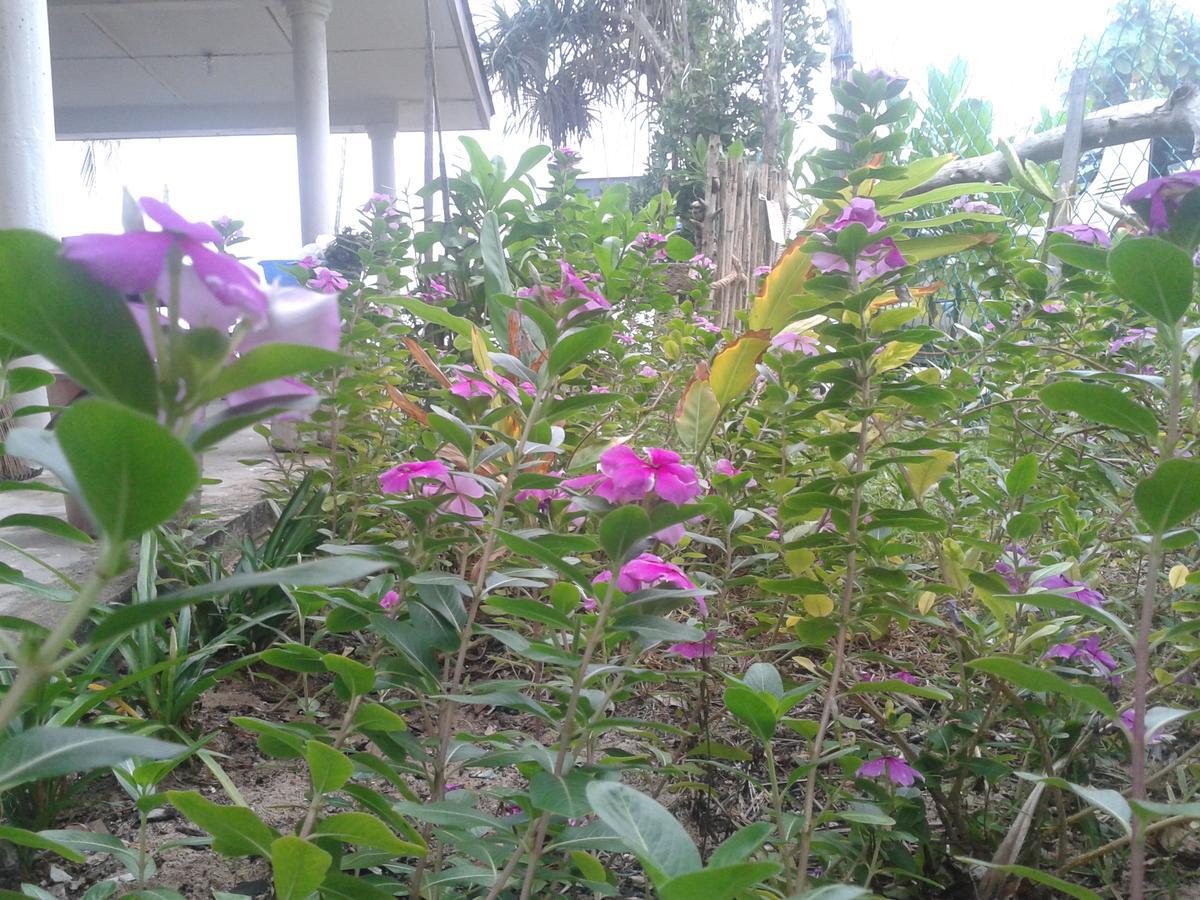 Pandan Beach Homestay Kampong Pandan Zewnętrze zdjęcie
